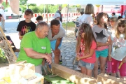 Kinder und Sommerfest 2016_6