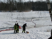 Kiesgruben 2010_2