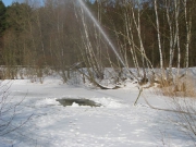 Kiesgruben 2010_3